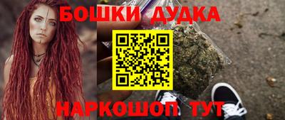 крисы Лесосибирск