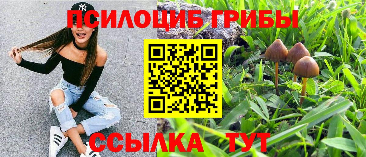 Псилоцибиновые грибы MAGIC MUSHROOMS Еманжелинск